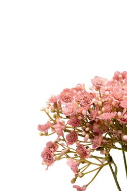 Etéreo bouquet artificial de gypsophila malva