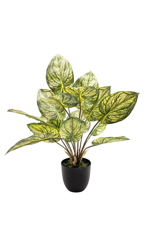 Exótica Caladium artificial