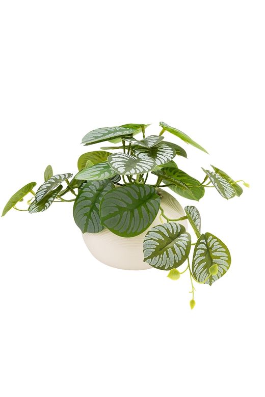 Exótica Calathea artificial