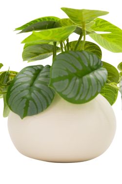 Exótica Calathea artificial