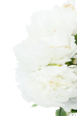 Exquisito ramillete de penías artificiales blancas