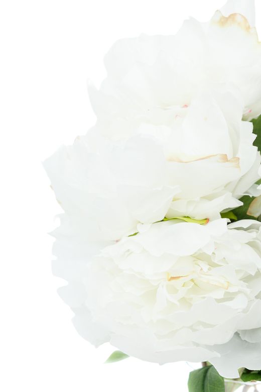 Exquisito ramillete de penías artificiales blancas