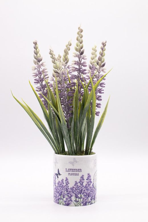 Flores de lavanda en maceta de cerámica