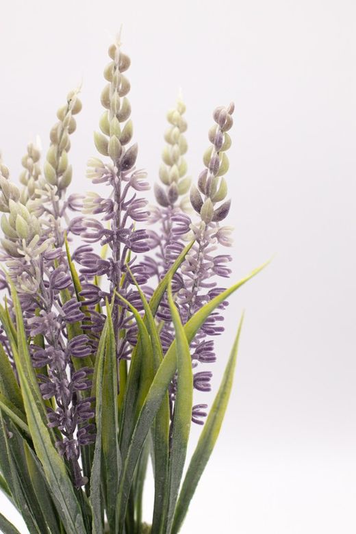 Flores de lavanda en maceta de cerámica