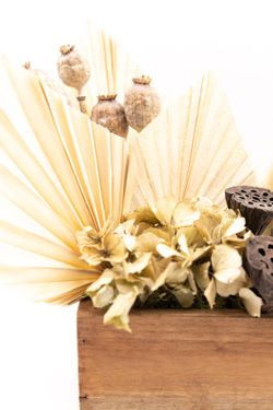 Flores preservadas en caoba de madera de caoba natural