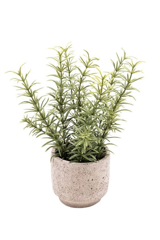 Fragante Tomillo artificial