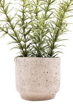 Fragante Tomillo artificial