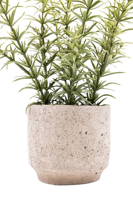 Fragante Tomillo artificial