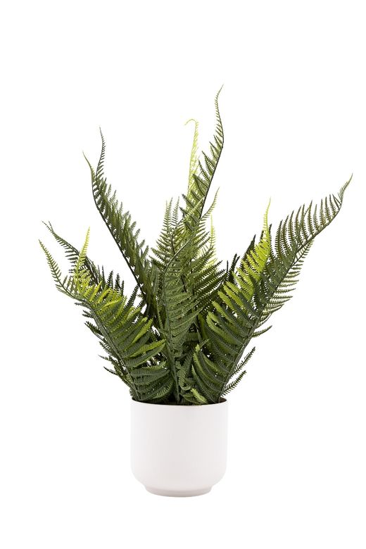 Frondoso Helecho artificial