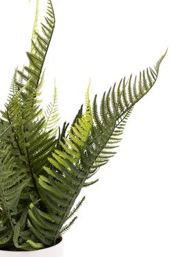 Frondoso Helecho artificial