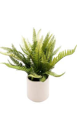 Frondoso Helecho grande artificial
