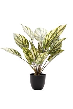 Imponente Dieffenbachia artificial