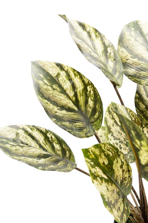 Imponente Dieffenbachia artificial