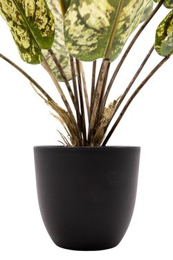 Imponente Dieffenbachia artificial