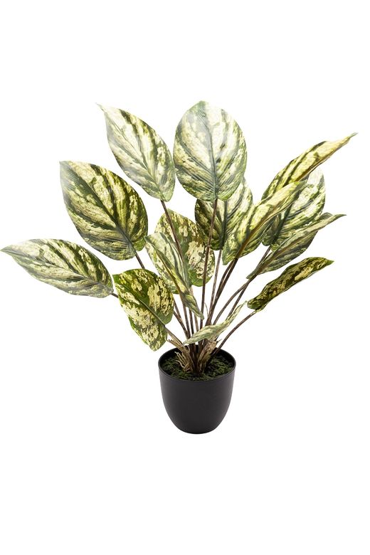 Imponente Dieffenbachia artificial