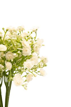 Luminoso y minimalista bouquet artificial de gypsophila crema