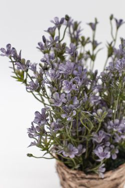 Maceta con flores silvestres lilas