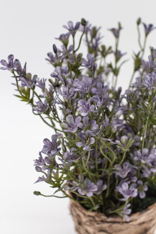 Maceta con flores silvestres lilas