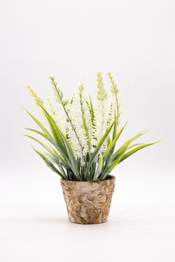 Maceta de decoración con lavanda blanca