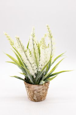 Maceta de decoración con lavanda blanca