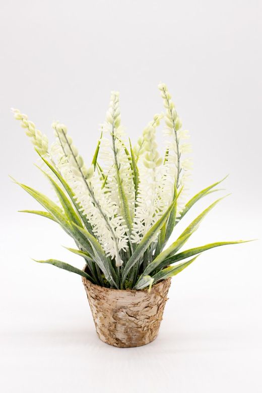 Maceta de decoración con lavanda blanca