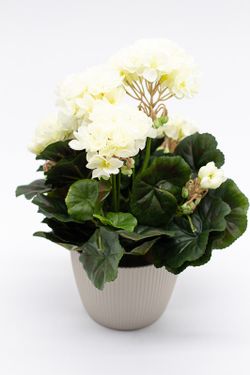 Maceta decorativa con planta de geranio en color Blanco