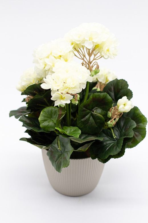 Maceta decorativa con planta de geranio en color Blanco