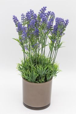 Macetero moderno con lavanda
