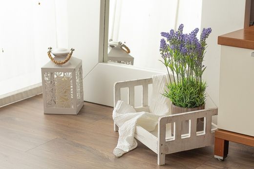 Macetero moderno con lavanda