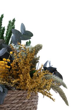 Magnífica cesta de fibra natural de flores secas y preservadas en tonos verdes