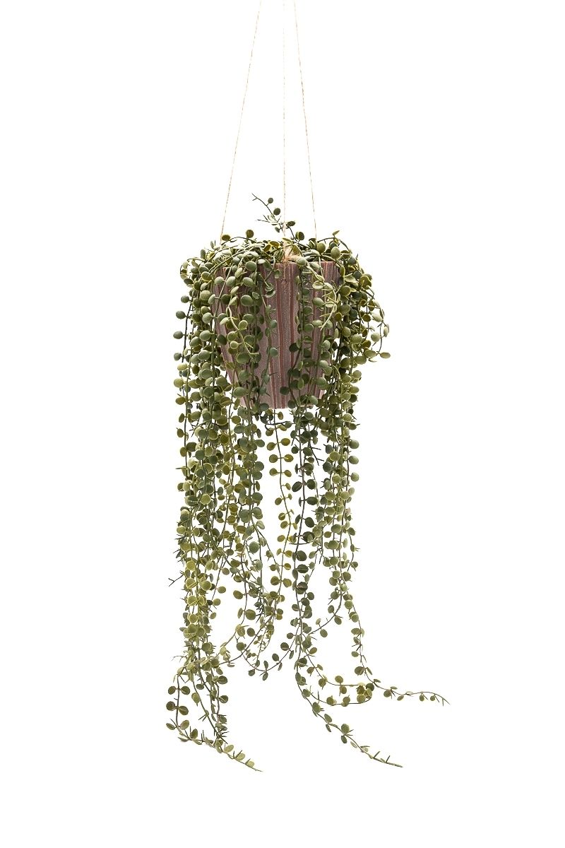 Majestuosa Peperomia Prostrata colgante artificial