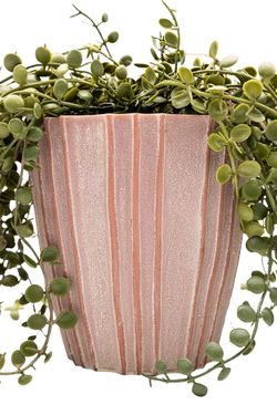 Majestuosa Peperomia Prostrata colgante artificial