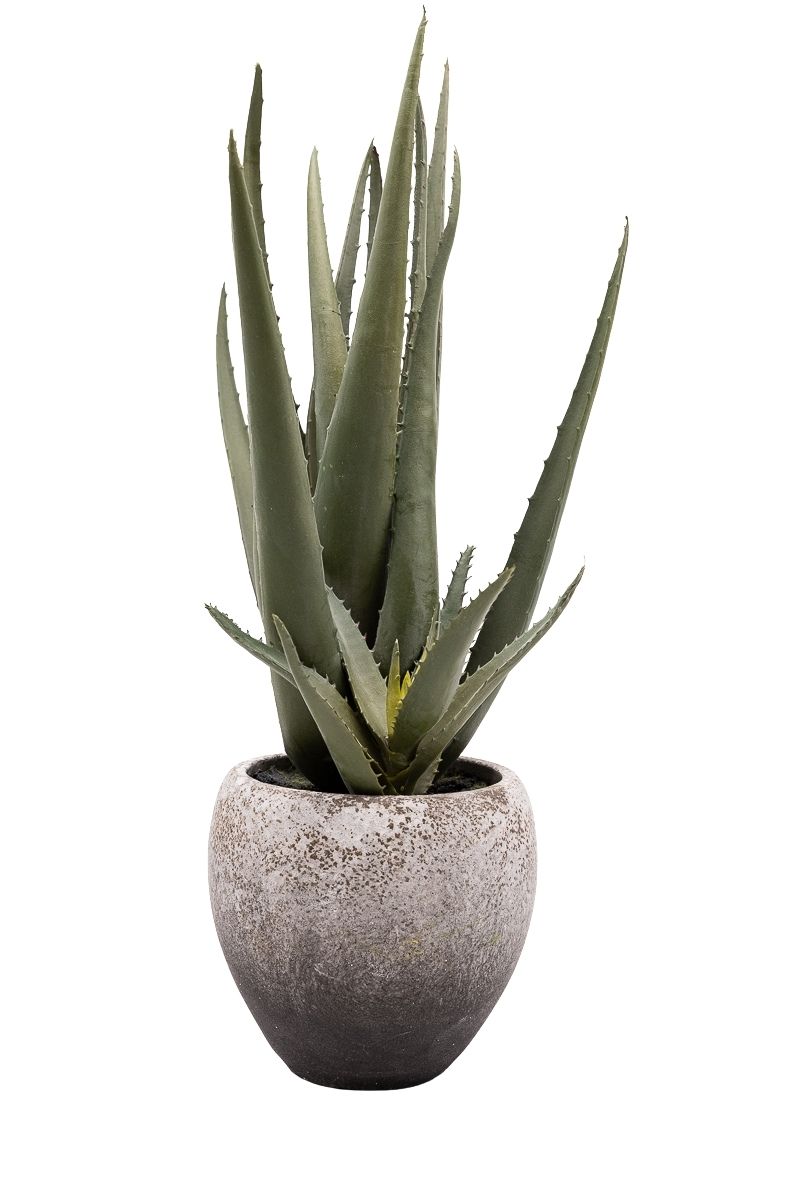 Minimalista Aloe Vera artificial