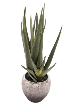 Minimalista Aloe Vera artificial