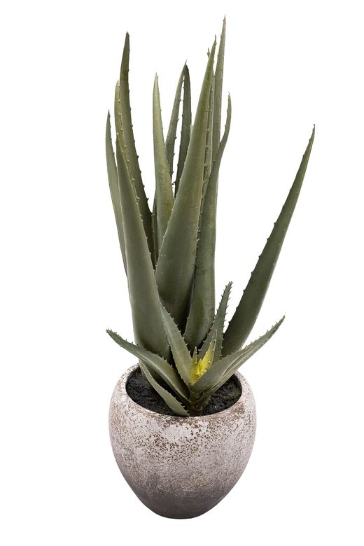 Minimalista Aloe Vera artificial