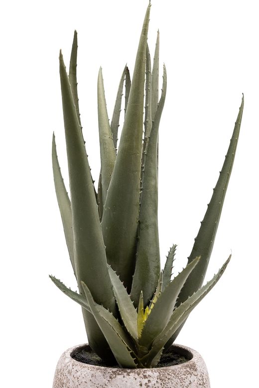 Minimalista Aloe Vera artificial