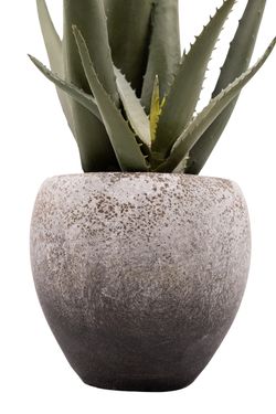 Minimalista Aloe Vera artificial