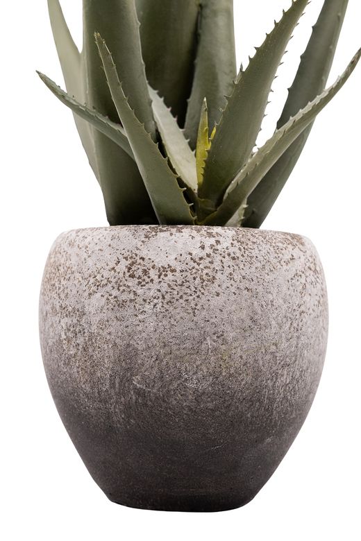Minimalista Aloe Vera artificial