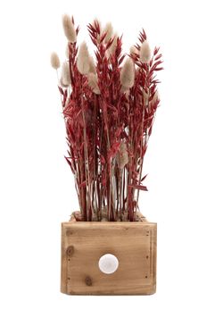 Minimalista centro de flor seca en tonos rojizos y naturales