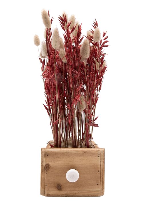 Minimalista centro de flor seca en tonos rojizos y naturales