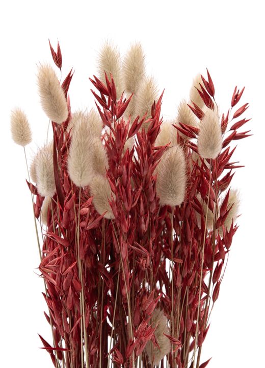 Minimalista centro de flor seca en tonos rojizos y naturales