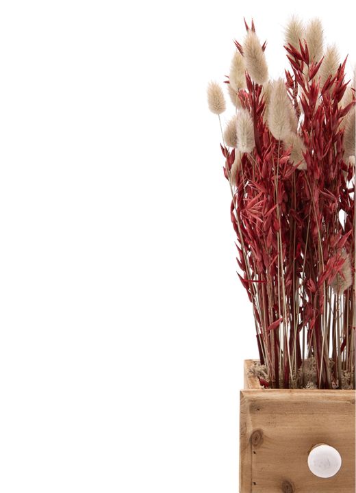 Minimalista centro de flor seca en tonos rojizos y naturales