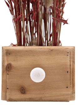 Minimalista centro de flor seca en tonos rojizos y naturales