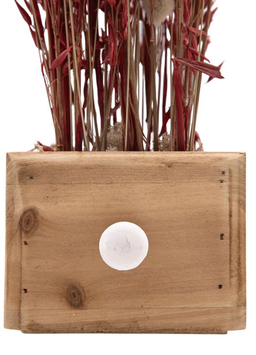 Minimalista centro de flor seca en tonos rojizos y naturales