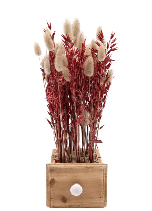 Minimalista centro de flor seca en tonos rojizos y naturales