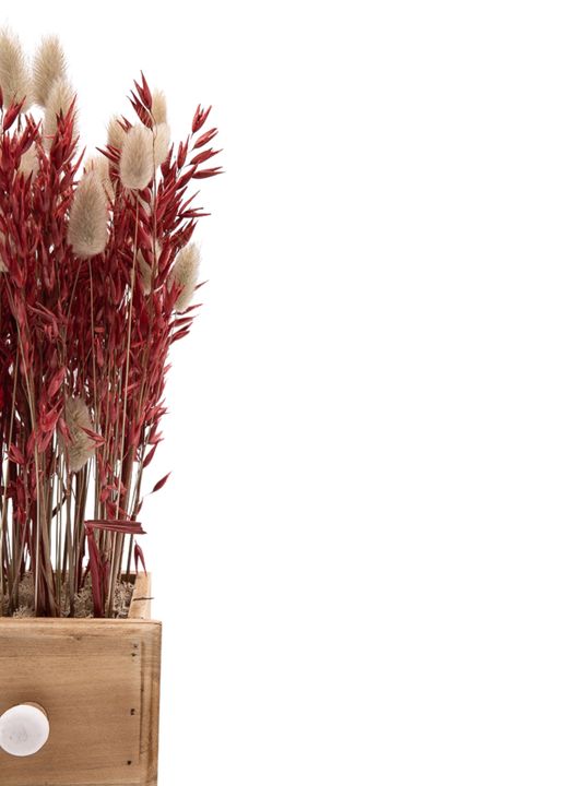 Minimalista centro de flor seca en tonos rojizos y naturales