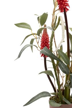 Minimalista centro floral con kniphofia