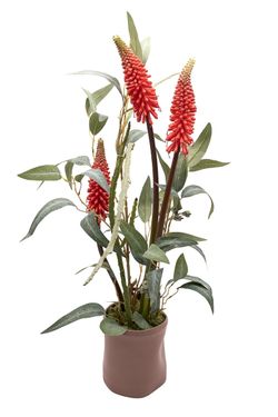 Minimalista centro floral con kniphofia