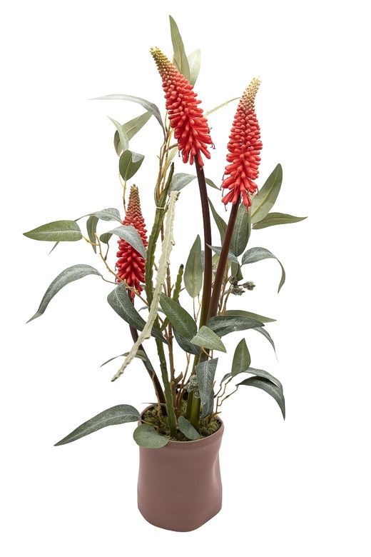 Minimalista centro floral con kniphofia