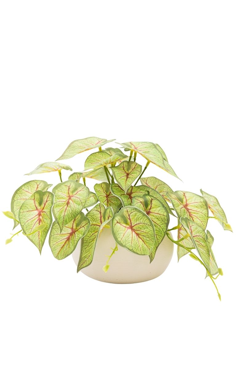 Moderna planta artificial de Syngonium Tendril